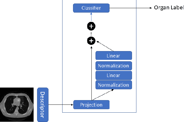 Figure 3 for Real Time Multi Organ Classification on Computed Tomography Images
