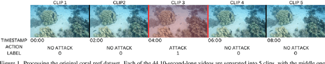 Figure 1 for MARINE: A Computer Vision Model for Detecting Rare Predator-Prey Interactions in Animal Videos