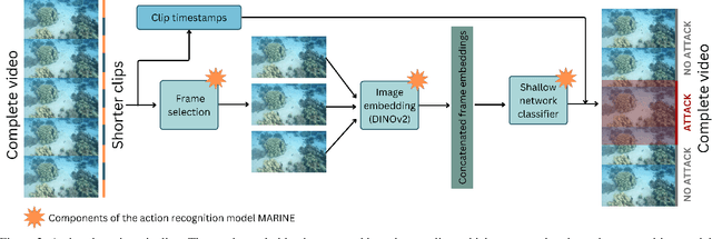 Figure 3 for MARINE: A Computer Vision Model for Detecting Rare Predator-Prey Interactions in Animal Videos