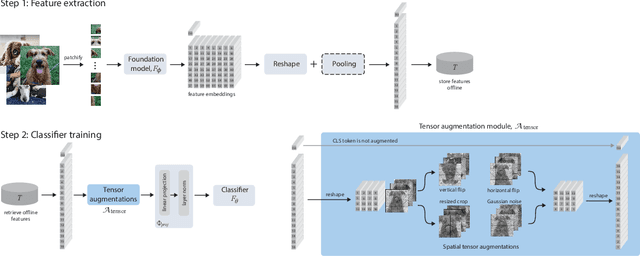 Figure 3 for Learning from Offline Foundation Features with Tensor Augmentations