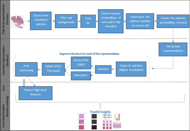Figure 1 for TUMLS: Trustful Fully Unsupervised Multi-Level Segmentation for Whole Slide Images of Histology