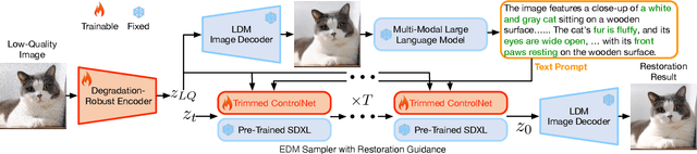 Figure 2 for Scaling Up to Excellence: Practicing Model Scaling for Photo-Realistic Image Restoration In the Wild