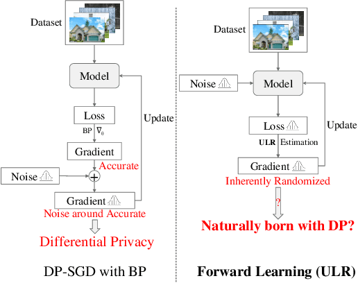 Figure 1 for Forward Learning with Differential Privacy