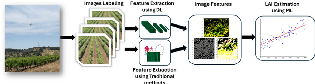 Figure 3 for Automating grapevine LAI features estimation with UAV imagery and machine learning