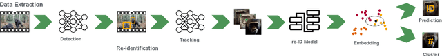 Figure 1 for GorillaWatch: An Automated System for In-the-Wild Gorilla Re-Identification and Population Monitoring