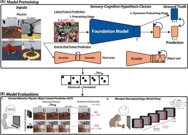 Figure 1 for Neural Foundations of Mental Simulation: Future Prediction of Latent Representations on Dynamic Scenes