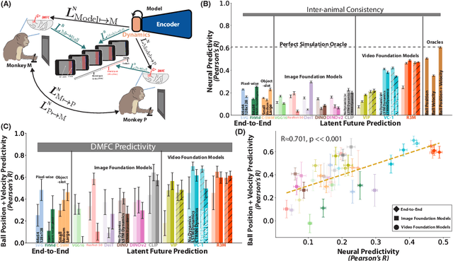 Figure 3 for Neural Foundations of Mental Simulation: Future Prediction of Latent Representations on Dynamic Scenes
