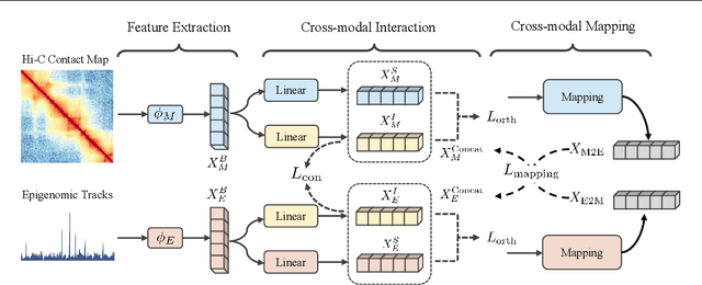 Figure 1 for Multimodal 3D Genome Pre-training