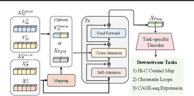 Figure 3 for Multimodal 3D Genome Pre-training