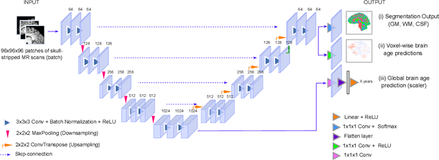 Figure 3 for Reframing the Brain Age Prediction Problem to a More Interpretable and Quantitative Approach