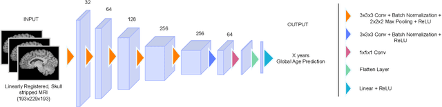 Figure 4 for Reframing the Brain Age Prediction Problem to a More Interpretable and Quantitative Approach