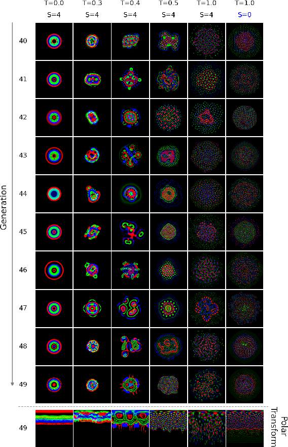 Figure 1 for Flow-Lenia.png: Evolving Multi-Scale Complexity by Means of Compression