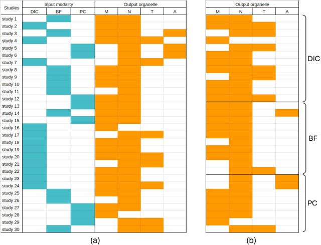 Figure 3 for Predicting fluorescent labels in label-free microscopy images with pix2pix and adaptive loss in Light My Cells challenge