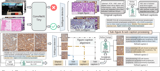 Figure 1 for PathAsst: Redefining Pathology through Generative Foundation AI Assistant for Pathology