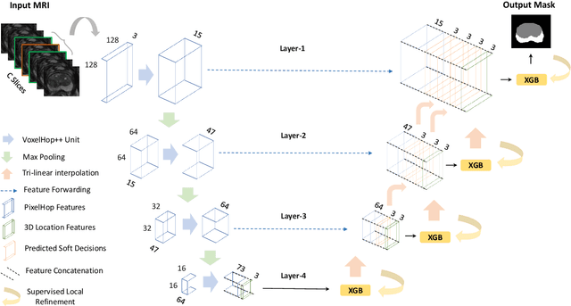Figure 1 for PSHop: A Lightweight Feed-Forward Method for 3D Prostate Gland Segmentation