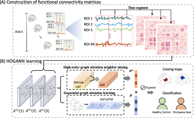 Figure 1 for Identification of Craving Maps among Marijuana Users via Analysis of Functional Brain Networks with High-Order Attention Graph Neural Networks