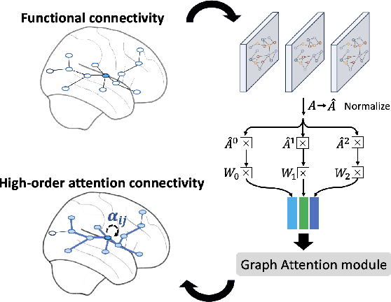 Figure 3 for Identification of Craving Maps among Marijuana Users via Analysis of Functional Brain Networks with High-Order Attention Graph Neural Networks