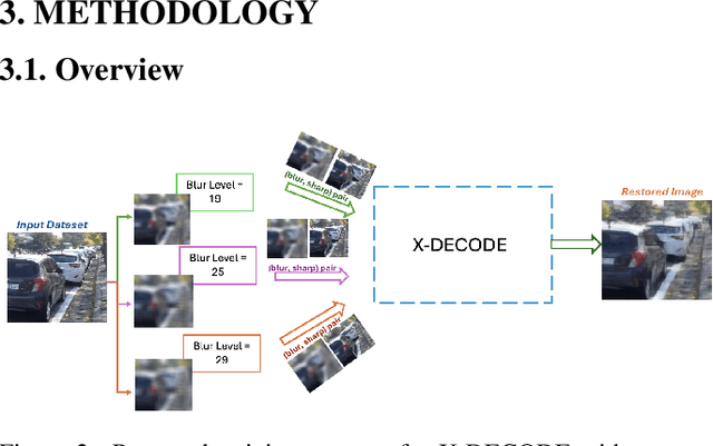 Figure 3 for X-DECODE: EXtreme Deblurring with Curriculum Optimization and Domain Equalization