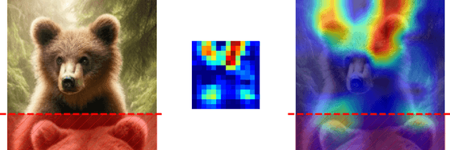 Figure 1 for CAM-Based Methods Can See through Walls