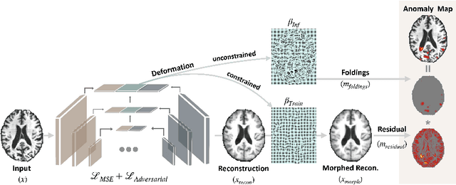 Figure 1 for Unsupervised Analysis of Alzheimer's Disease Signatures using 3D Deformable Autoencoders