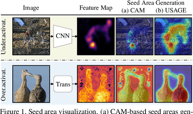 Figure 1 for USAGE: A Unified Seed Area Generation Paradigm for Weakly Supervised Semantic Segmentation