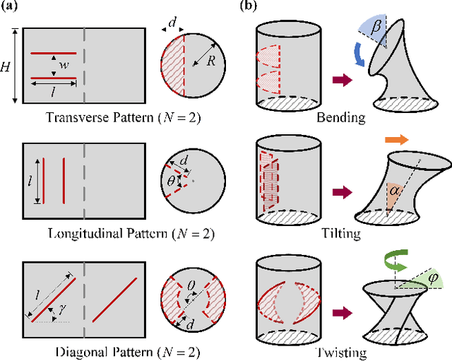 Figure 2 for Programmable Deformation Design of Porous Soft Actuator through Volumetric-Pattern-Induced Anisotropy