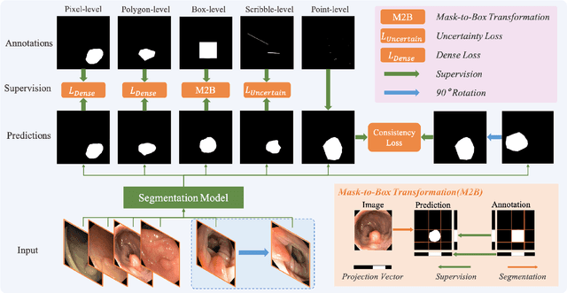 Figure 1 for MARIO: A Mixed Annotation Framework For Polyp Segmentation