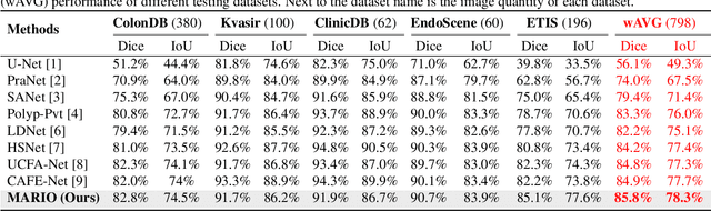 Figure 2 for MARIO: A Mixed Annotation Framework For Polyp Segmentation