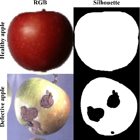 Figure 1 for Classifying Healthy and Defective Fruits with a Multi-Input Architecture and CNN Models