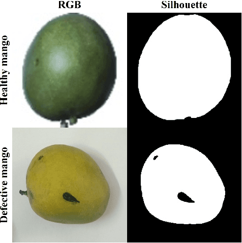 Figure 4 for Classifying Healthy and Defective Fruits with a Multi-Input Architecture and CNN Models