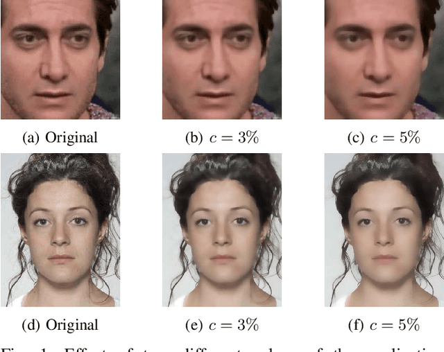 Figure 1 for Deceptive Beauty: Evaluating the Impact of Beauty Filters on Deepfake and Morphing Attack Detection