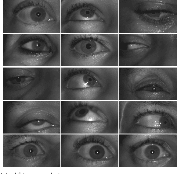 Figure 1 for CASIA-Iris-Africa: A Large-scale African Iris Image Database