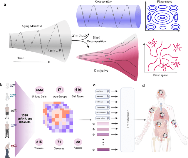 Figure 1 for The Dissipation Theory of Aging: A Quantitative Analysis Using a Cellular Aging Map
