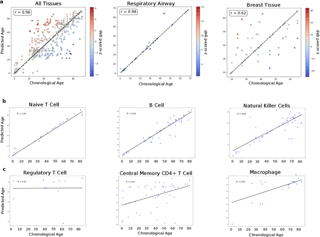 Figure 2 for The Dissipation Theory of Aging: A Quantitative Analysis Using a Cellular Aging Map