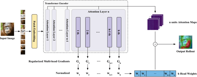 Figure 1 for GMAR: Gradient-Driven Multi-Head Attention Rollout for Vision Transformer Interpretability
