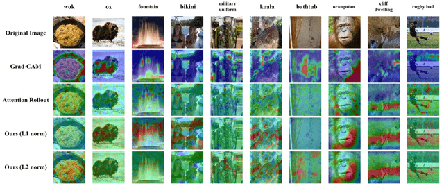 Figure 4 for GMAR: Gradient-Driven Multi-Head Attention Rollout for Vision Transformer Interpretability