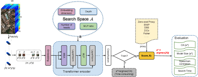 Figure 3 for HyTAS: A Hyperspectral Image Transformer Architecture Search Benchmark and Analysis