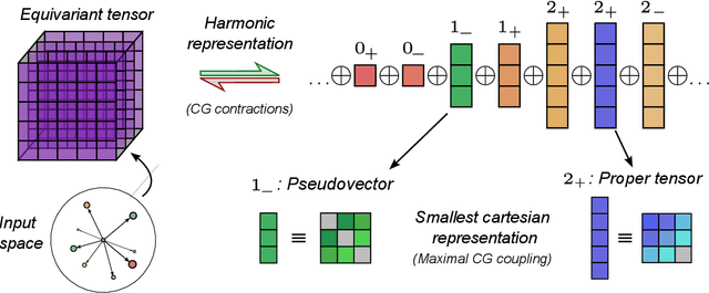 Figure 4 for Representing spherical tensors with scalar-based machine-learning models