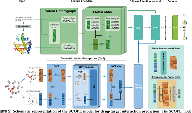 Figure 3 for SCOPE-DTI: Semi-Inductive Dataset Construction and Framework Optimization for Practical Usability Enhancement in Deep Learning-Based Drug Target Interaction Prediction