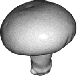 Figure 1 for Mushroom Segmentation and 3D Pose Estimation from Point Clouds using Fully Convolutional Geometric Features and Implicit Pose Encoding