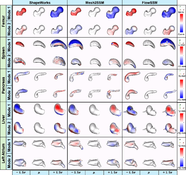 Figure 3 for Mesh2SSM++: A Probabilistic Framework for Unsupervised Learning of Statistical Shape Model of Anatomies from Surface Meshes