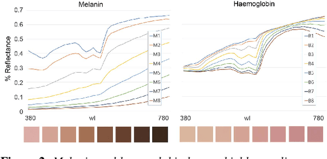 Figure 3 for Estimation of Spectral Biophysical Skin Properties from Captured RGB Albedo