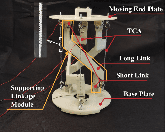 Figure 1 for Design, Dynamic Modeling and Control of a 2-DOF Robotic Wrist Actuated by Twisted and Coiled Actuators