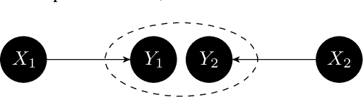 Figure 1 for On Different Notions of Redundancy in Conditional-Independence-Based Discovery of Graphical Models