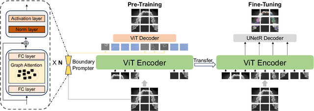 Figure 1 for Sparse Anatomical Prompt Semi-Supervised Learning with Masked Image Modeling for CBCT Tooth Segmentation