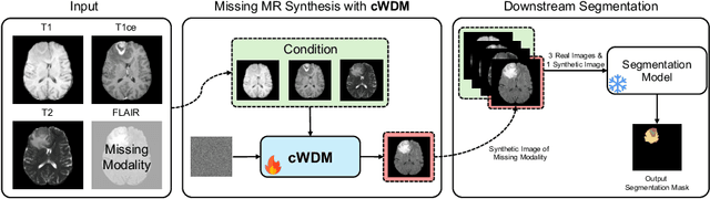 Figure 1 for cWDM: Conditional Wavelet Diffusion Models for Cross-Modality 3D Medical Image Synthesis