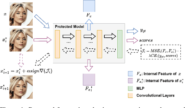 Figure 1 for Only My Model On My Data: A Privacy Preserving Approach Protecting one Model and Deceiving Unauthorized Black-Box Models