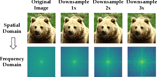 Figure 1 for FreeKD: Knowledge Distillation via Semantic Frequency Prompt