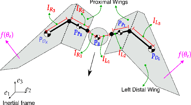 Figure 3 for Conjugate Momentum-Based Estimation of External Forces for Bio-Inspired Morphing Wing Flight