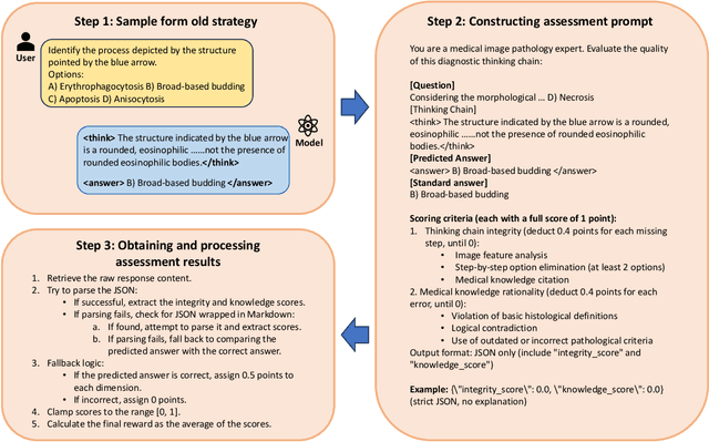 Figure 1 for PathVLM-R1: A Reinforcement Learning-Driven Reasoning Model for Pathology Visual-Language Tasks